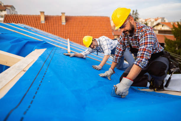 Best Roof Coating and Sealing  in Concord, VA